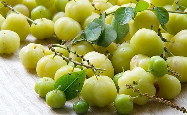 Cách trị tóc bạc sớm hiệu quả bằng mẹo dân gian
