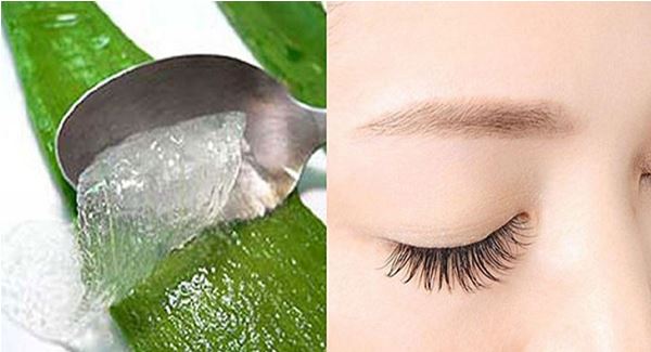 cách làm dài mi cấp tốc bằng nha đam