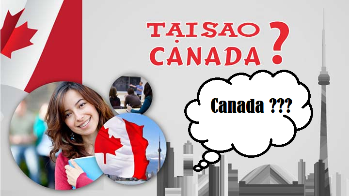 Sinh viên quốc tế định cư tại Canada sau khi đi du học