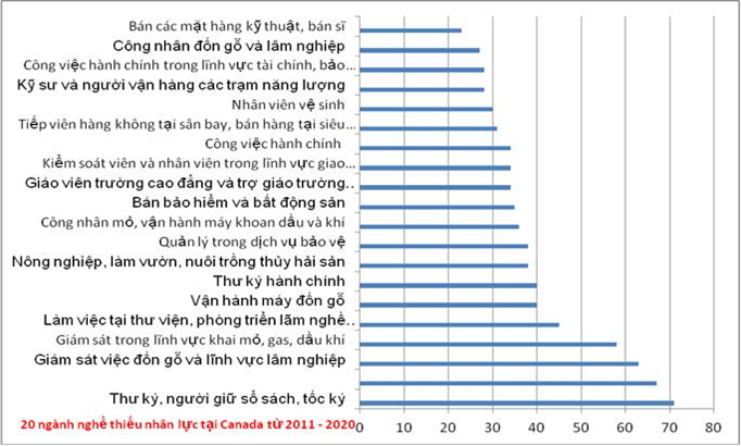 Top 8 ngành học dễ định cư tại Canada