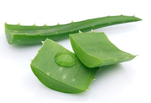 trị sẹo bằng nha đam