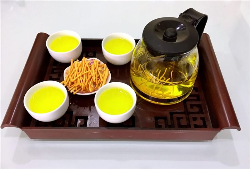 trà đông trùng hạ thảo