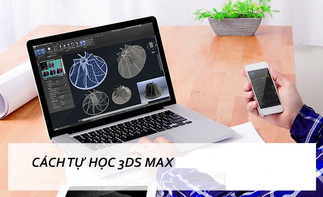 cách tự học 3ds max hiệu quả