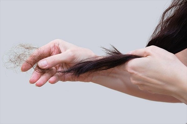 Vuốt tóc nhiều có bị hói đầu không?