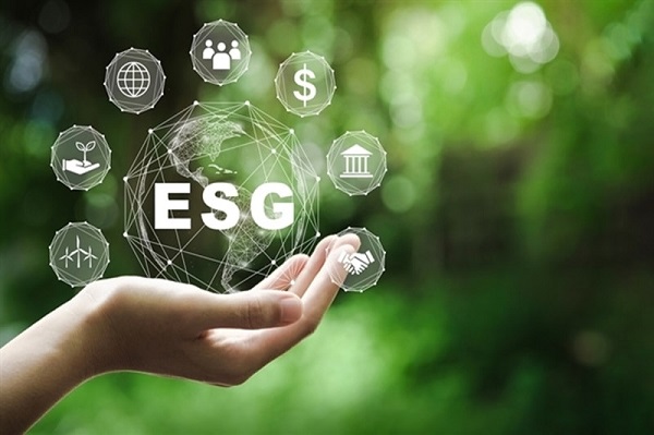 Đầu tư ESG Việt Nam: Xu hướng tài chính xanh