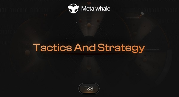 Meta Whale có lừa đảo không?
