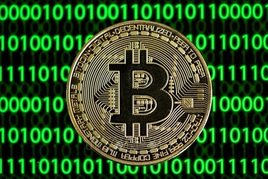 thi-truong-crypto-do-lua